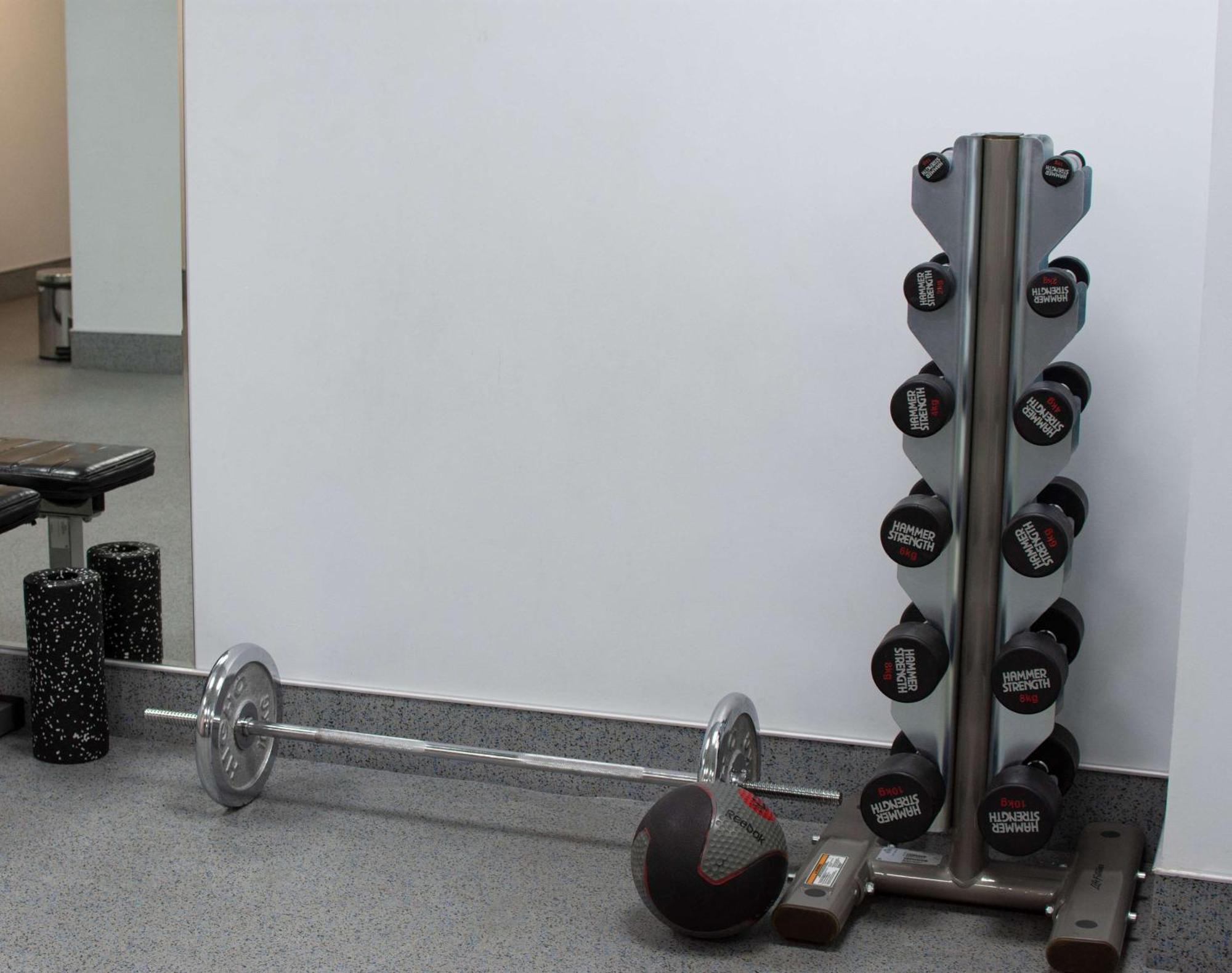Radisson Blu Hotel Ereván Exterior foto Dumbbell rack